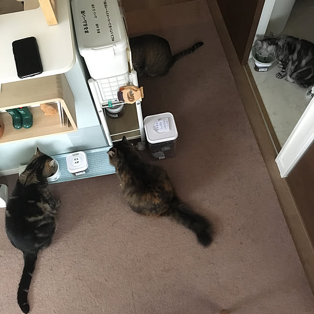 mikomaruさんの実例写真