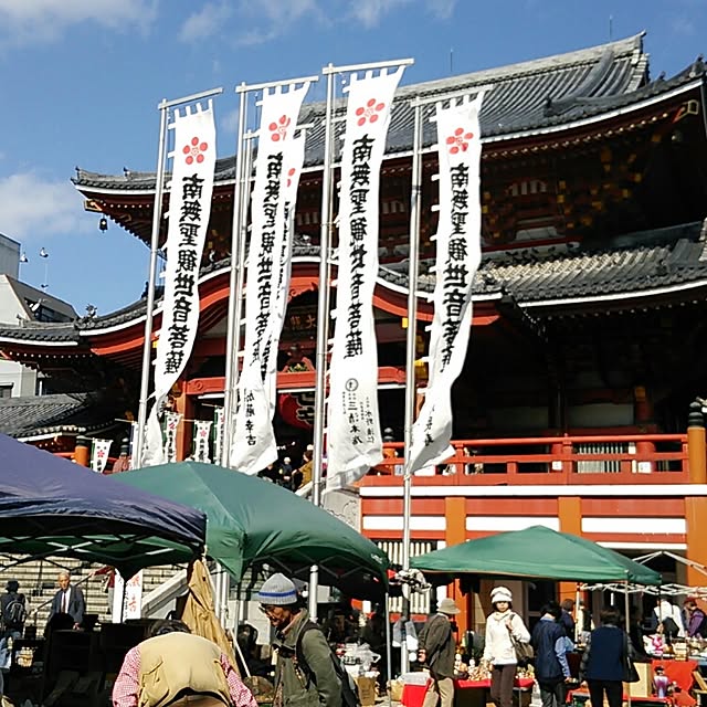 実例写真