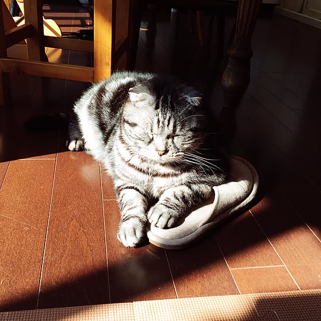 miyukoさんの実例写真