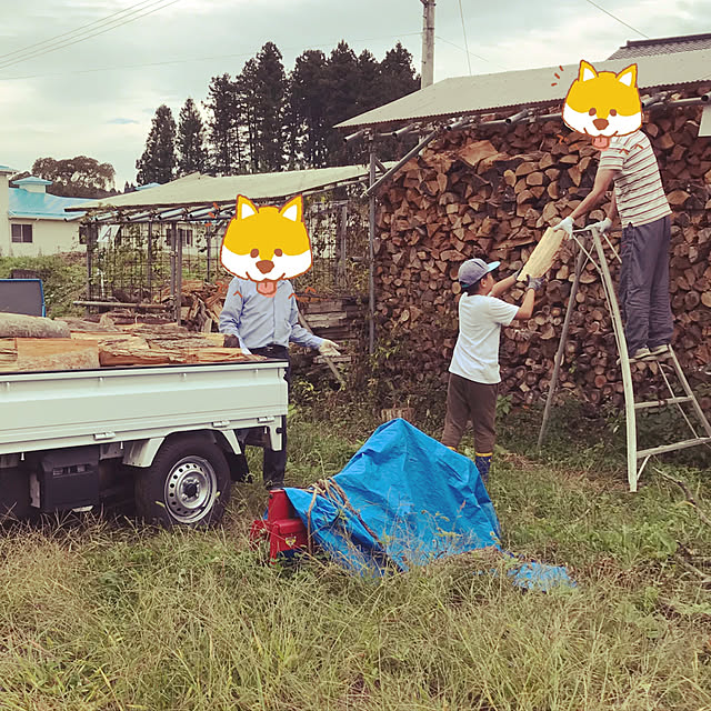 okadajapanさんの実例写真