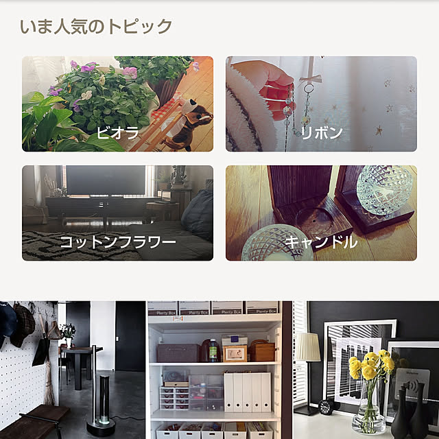 実例写真