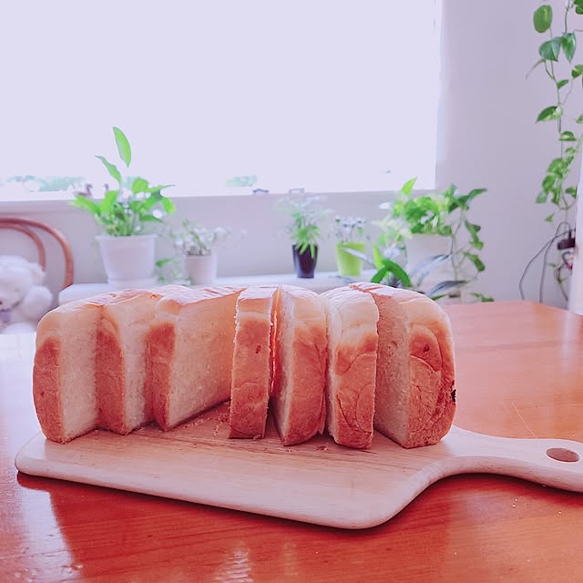 surviveさんの部屋