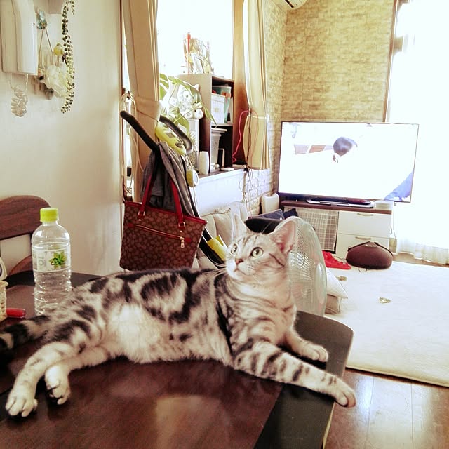 kumingさんの実例写真