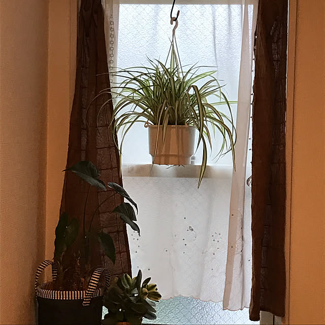 matsuさんの実例写真