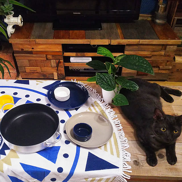 ugさんの実例写真