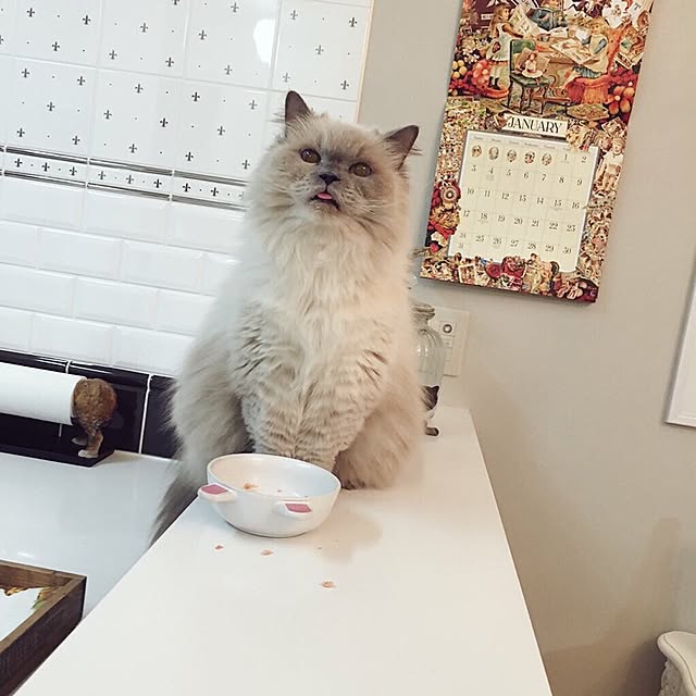 yuchiさんの実例写真