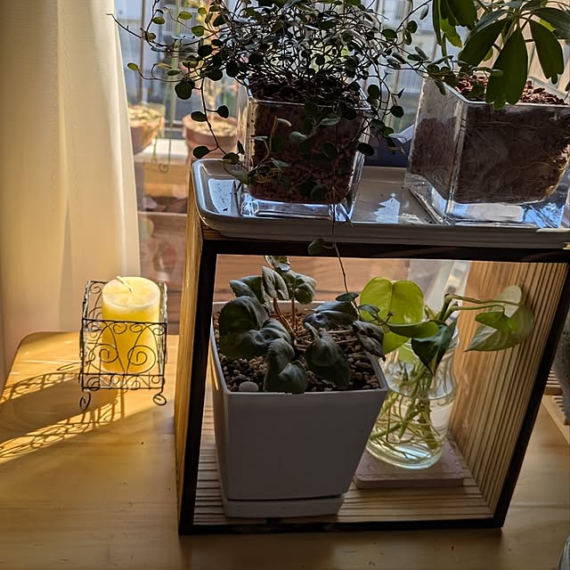 mi-saさんの部屋