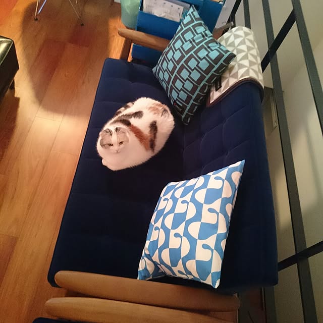 ishikawagoemonさんの実例写真