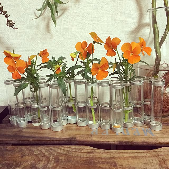 oliveandcheeseさんの実例写真