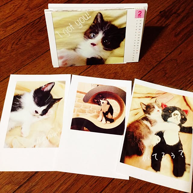 tommyさんの実例写真