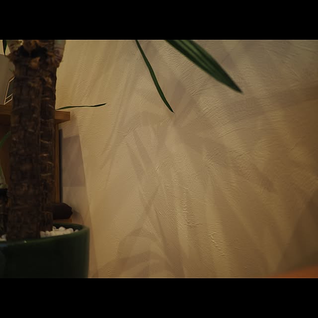 kazumasaさんの実例写真