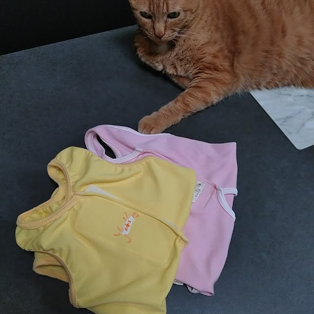 NOAHさんの部屋