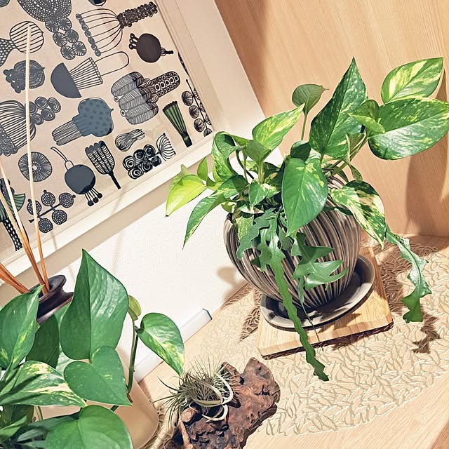 mihiroさんの部屋