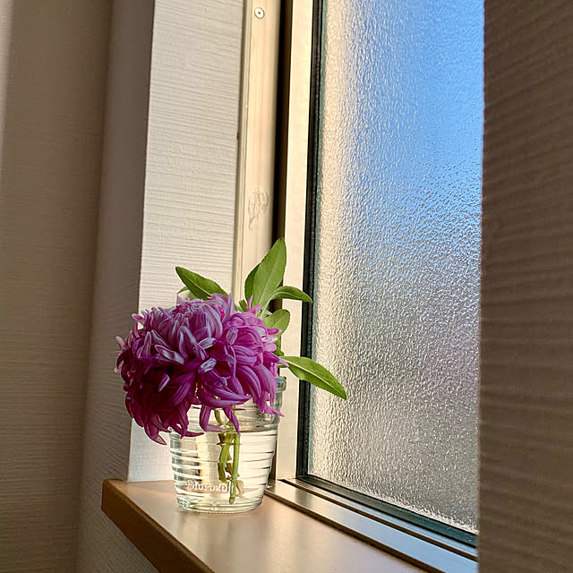 AINIさんの部屋