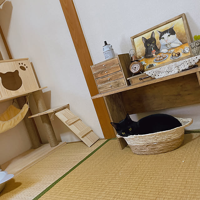 harukaさんの実例写真