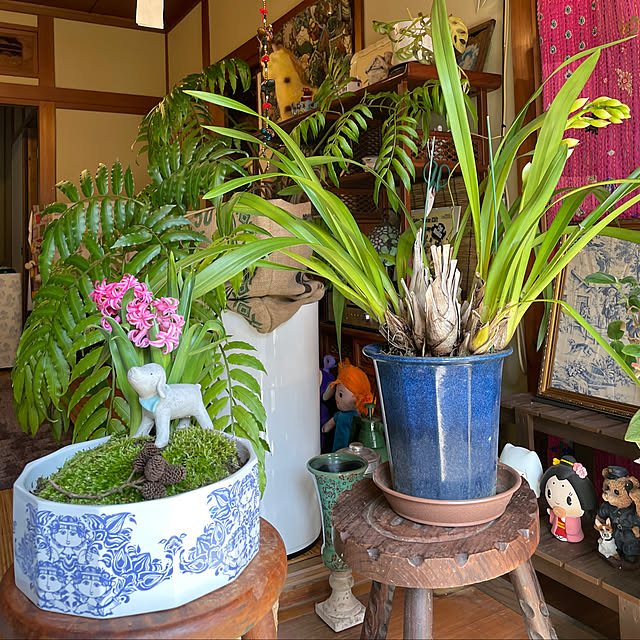 shin0719さんの部屋