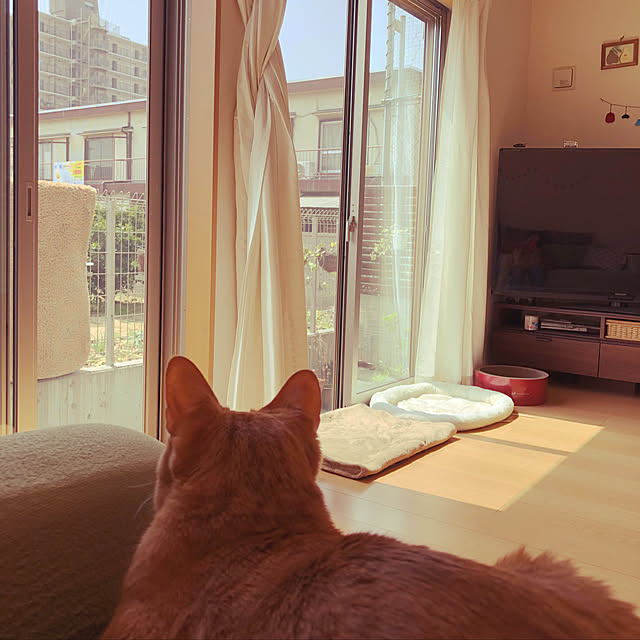 kinokoさんの実例写真