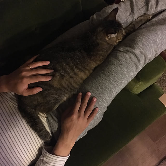 mikomaruさんの実例写真