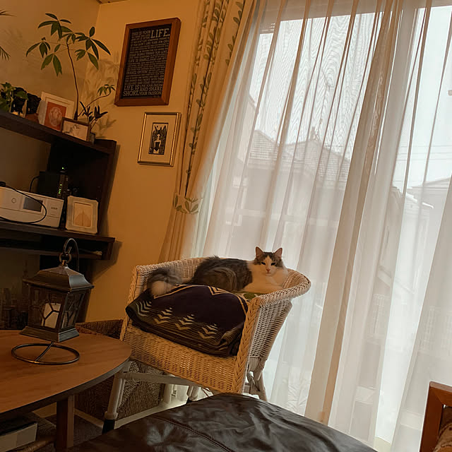 belleさんの実例写真