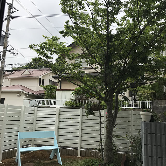 roseさんの実例写真
