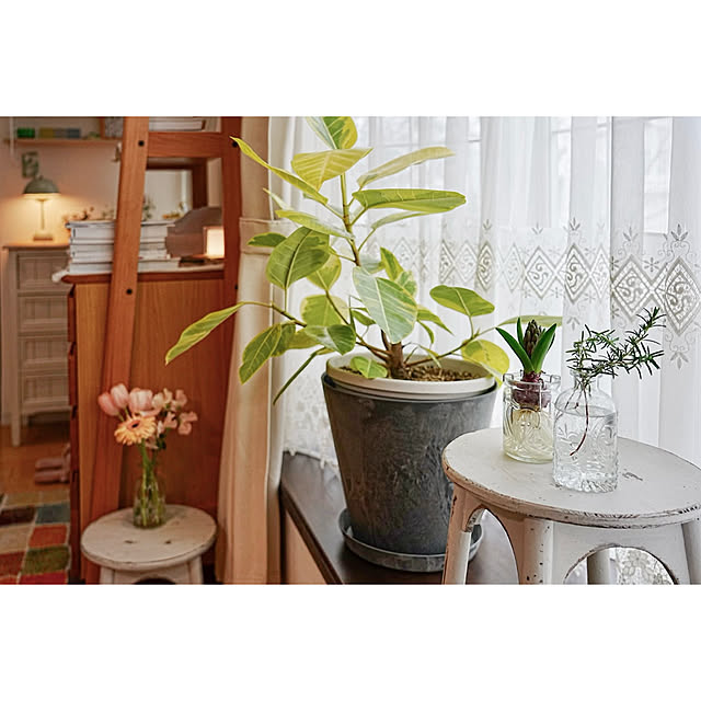 haruisabelさんの実例写真