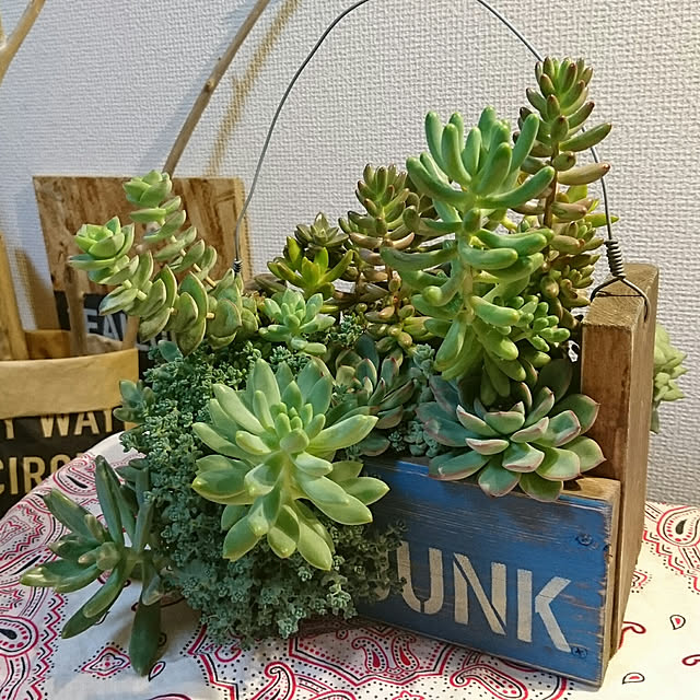 buuさんの実例写真