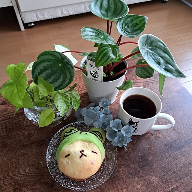 noaさんの部屋