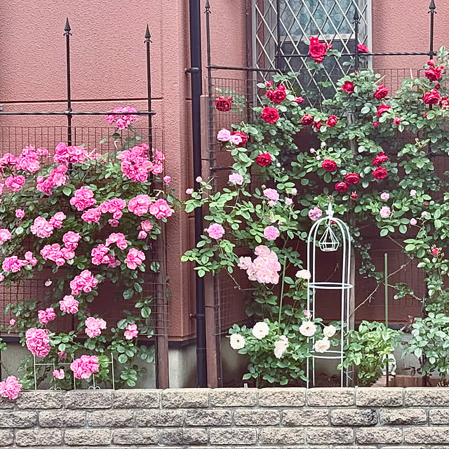 RoseLife5818さんの実例写真