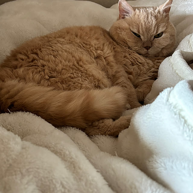 naokoさんの部屋