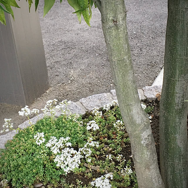 hiroさんの実例写真
