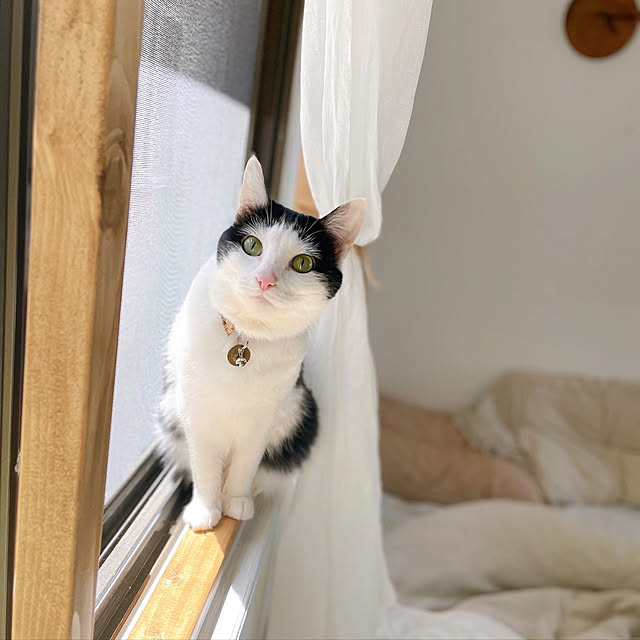harukaさんの実例写真