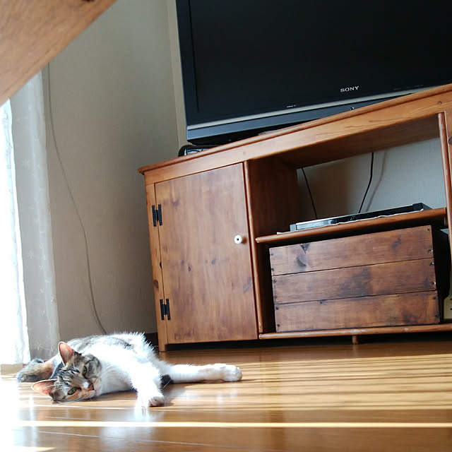 tomo1220さんの実例写真