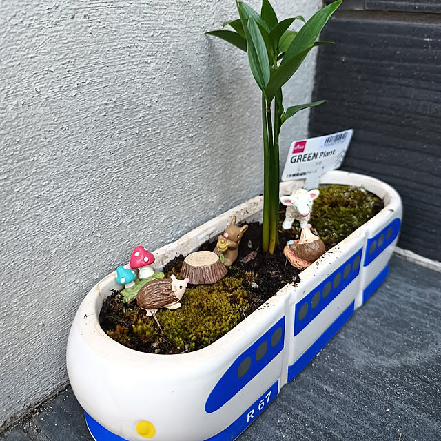 tomo5さんの実例写真