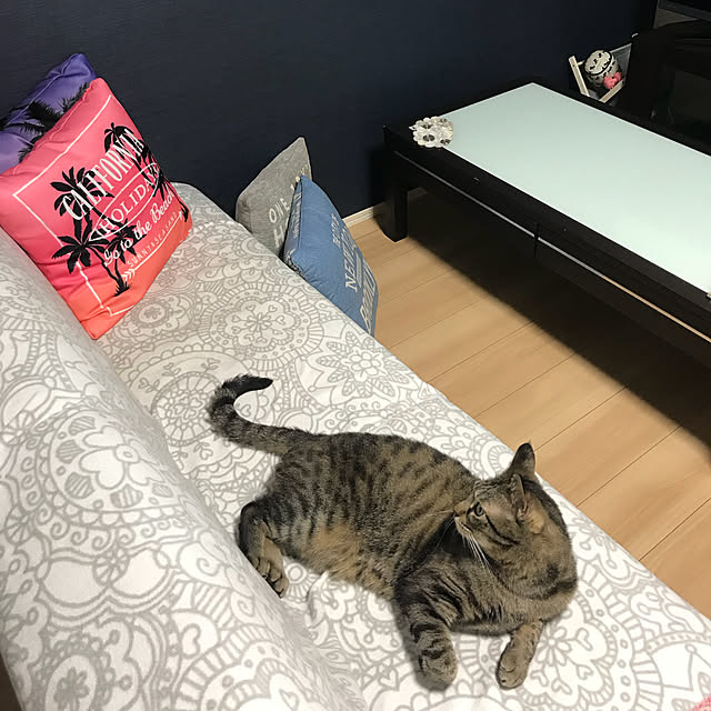 m.and.mさんの実例写真