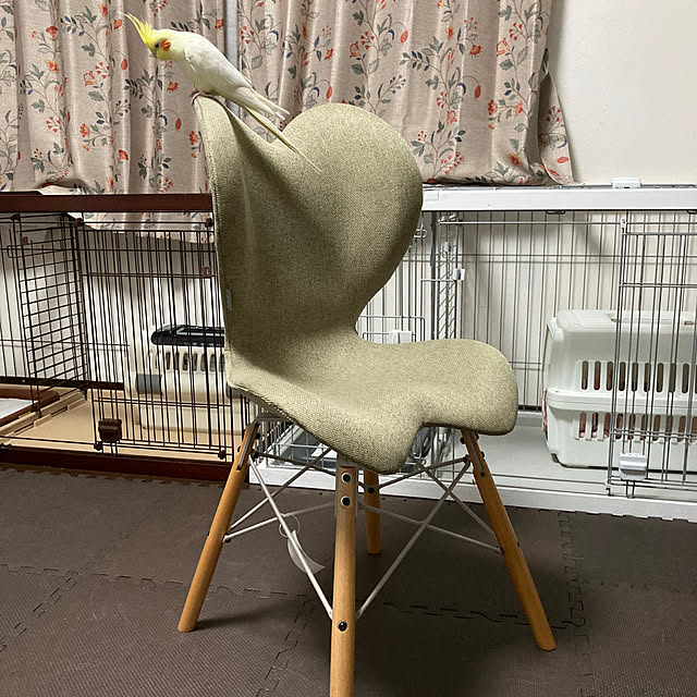 toratanさんの実例写真