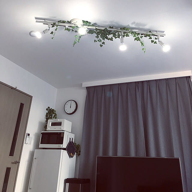 壁/天井/植物/hue/レール照明/照明のインテリア実例 - 2019-01-19 12:00:42