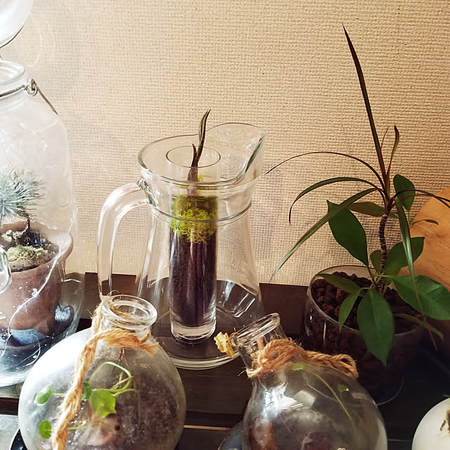 shinji19730515さんの実例写真