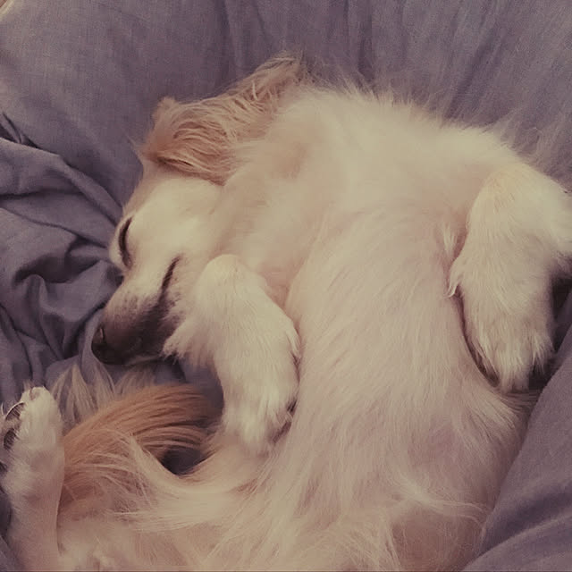 ruki928さんの実例写真