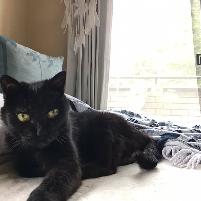TiffanyTさんの実例写真