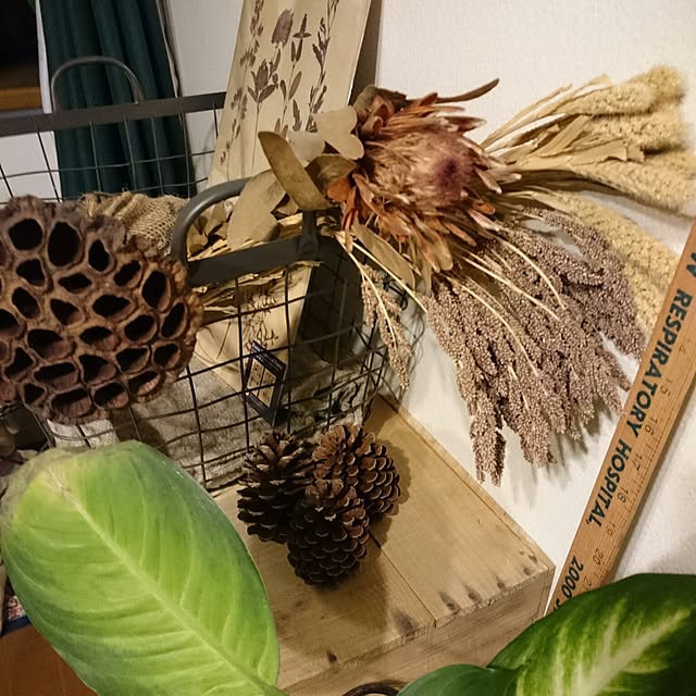 mizuさんの実例写真