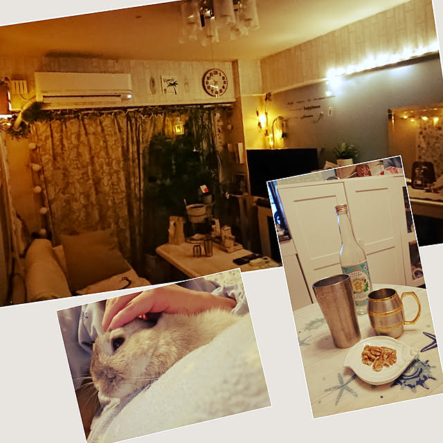 yokomokoさんの実例写真