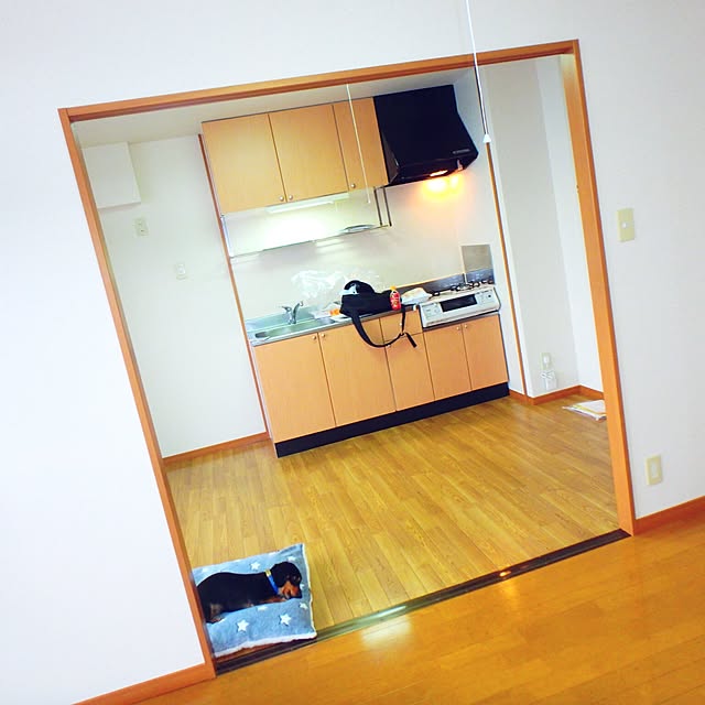 suzuchinさんの実例写真