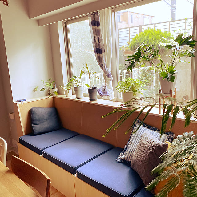 部屋全体/観葉植物/庭のインテリア実例 - 2023-10-08 12:05:31