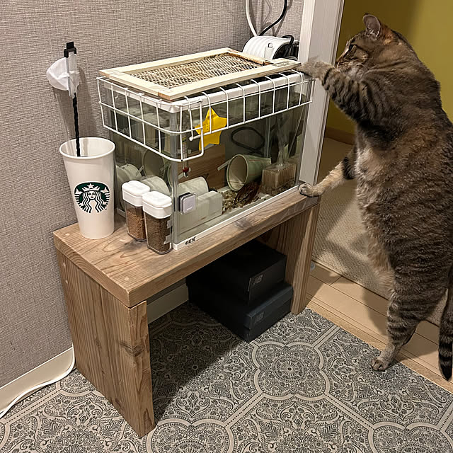 mikomaruさんの部屋