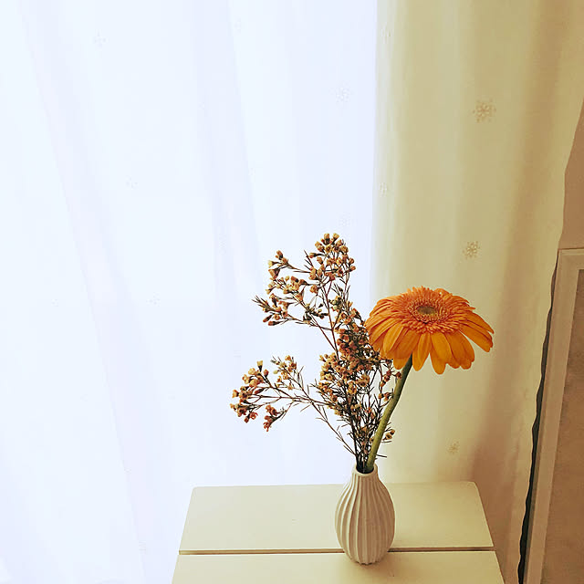 codemariさんの実例写真