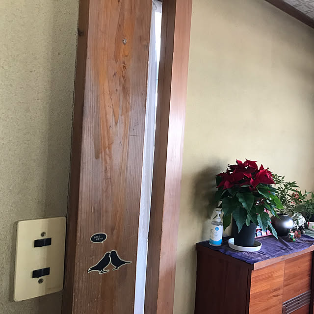 aoinokimiさんの部屋