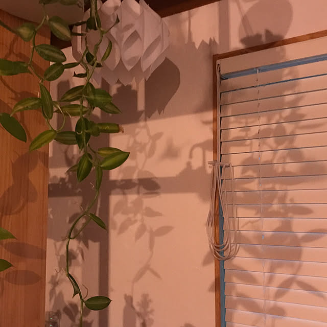 sakurasakuさんの実例写真