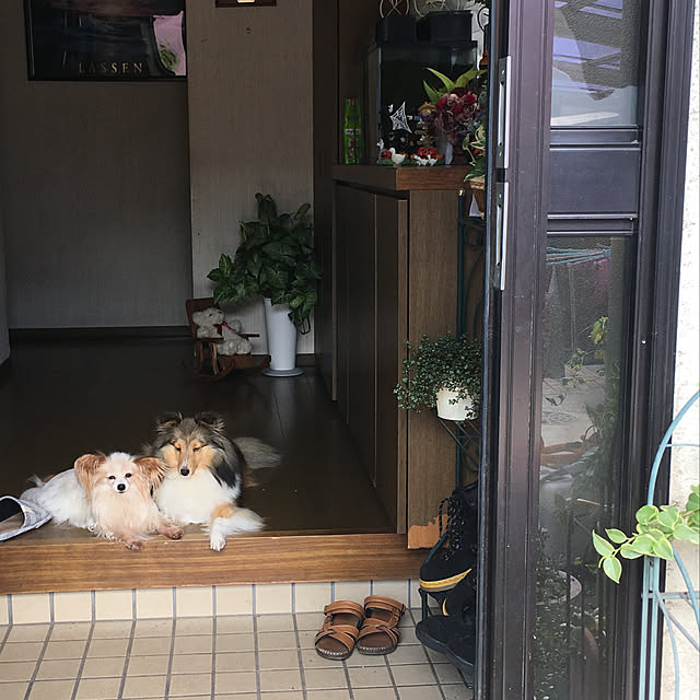 konokonoさんの実例写真