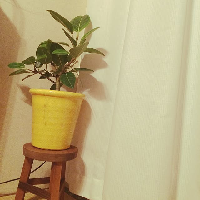 nananaさんの実例写真