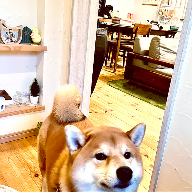 hogeさんの実例写真